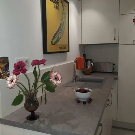 Apartamento Le Tivoli Cannes